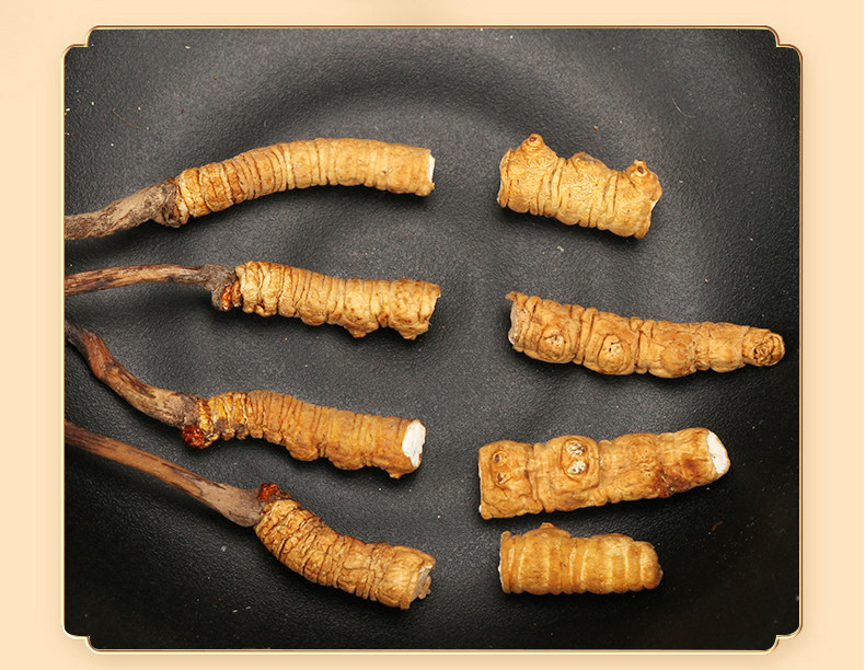 索朗顿珠西藏那曲正宗冬虫夏草断草2克精品虫草经济实惠自食补品