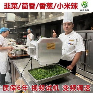 304不锈钢多功能切菜器多功能切菜机食堂商用全自动切韭菜葱花机