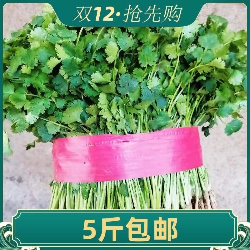 山东香菜5斤 新鲜芫荽蔬菜农产品小叶香菜农家直销不打药的菜包邮在类目 水产肉类/新鲜蔬果/熟食, 新鲜蔬菜/蔬菜制品, 新鲜蔬菜, 其它中 - 来自Buy2taobao.com提供专业的淘宝代购服务