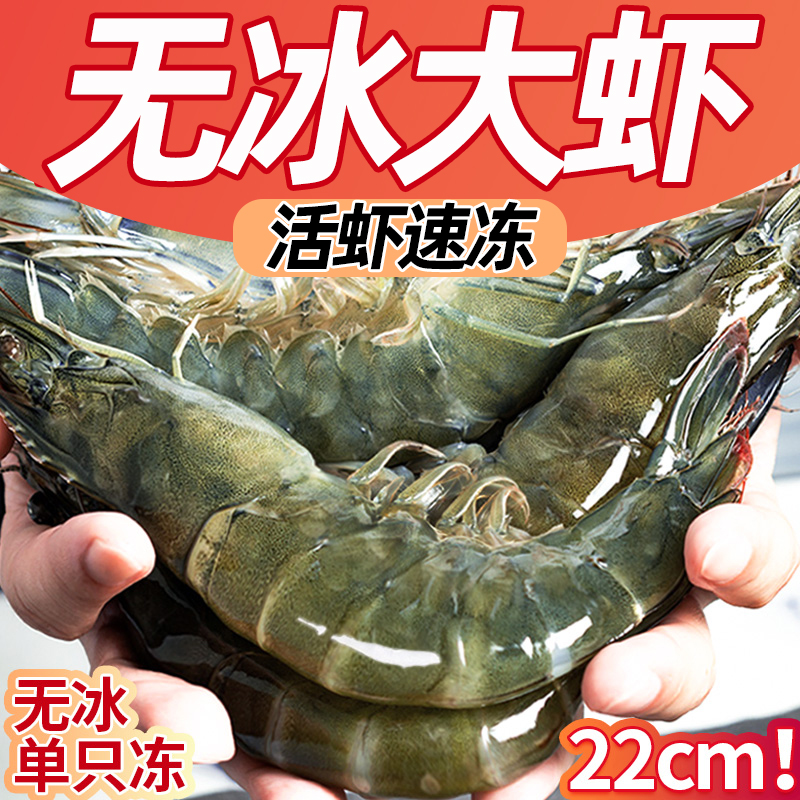 大虾鲜活超大鲜冻虾青岛大虾2030盐冻海虾新鲜基围虾海捕冻虾白虾