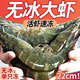 大虾鲜活超大鲜冻虾青岛大虾2030盐冻海虾新鲜基围虾海捕冻虾白虾