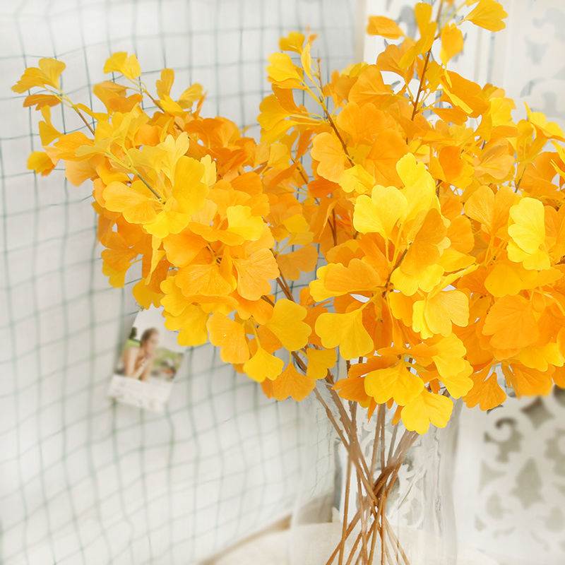 34淘宝新品四叶草植物标本树叶书签塑封干花书签过塑植物标本银杏叶
