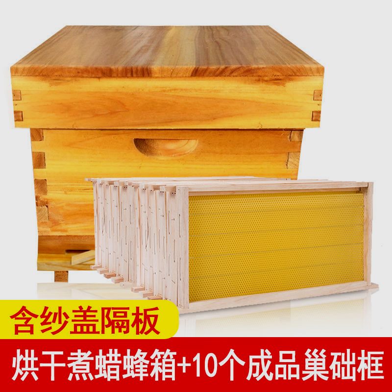 中锋蜂箱中煮蜡箱巢础标准杉木十框箱养蜂工具蜜蜂箱全套防水防虫