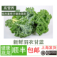 新鲜羽衣甘蓝2斤低热量健身健康榨汁蔬菜沙拉配菜嫩叶芥蓝高营养