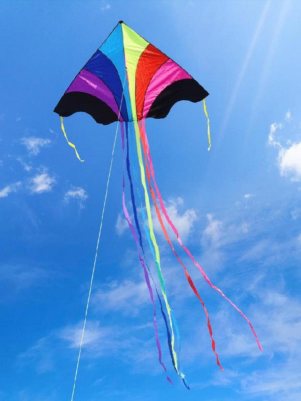 创意2021大人手拿新款飞大2021年彩虹微风风筝儿童风筝易大号小