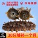 即食海参500g刺参冷冻非鲜活孕妇滋补礼盒独立包装送礼买3斤送1斤
