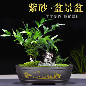 紫砂花盆紫砂腰圆盆盆景盆手工精品假山造景盆多肉组合盆