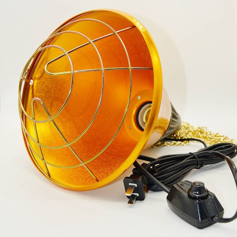 新温灯养鸡蛋取暖温控器可孵w化箱子育雏箱小鸡保温灯泡保温器幼