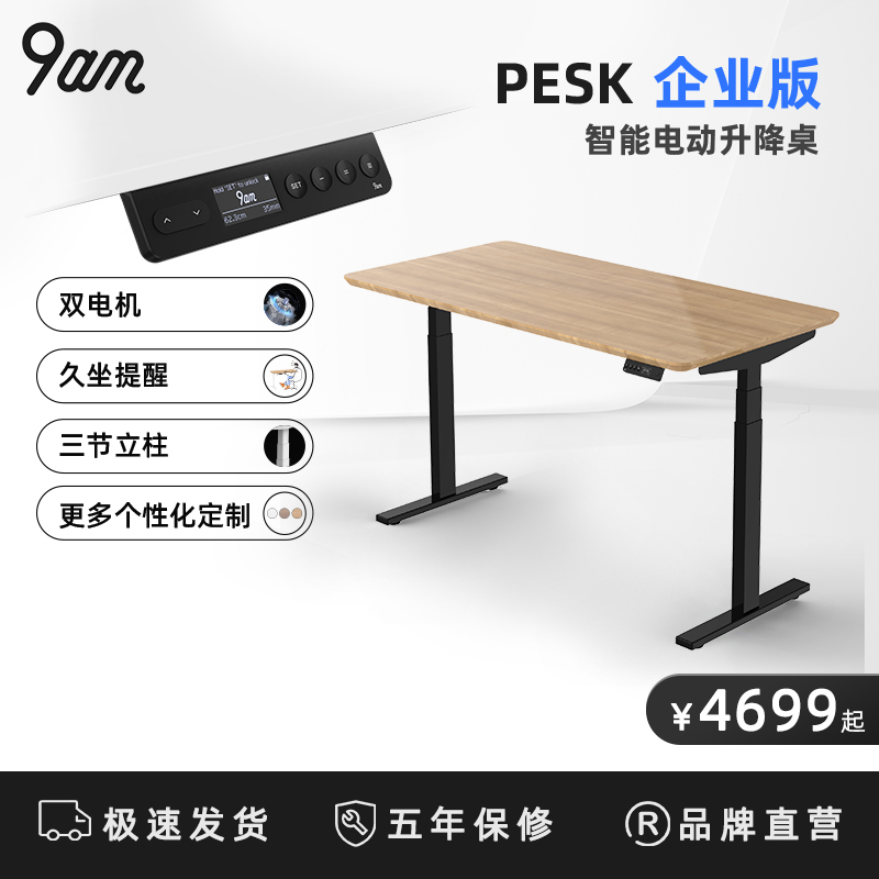 9ampesk企业智能电动升降桌站立式电脑办公桌家用电动升降桌