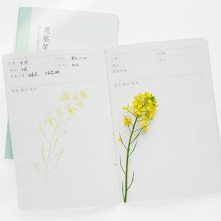 学生观察笔记本自然笔记本子动物植物观察记录本子A5自然手账本