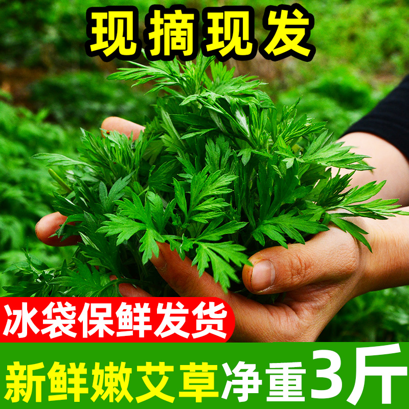 艾草新鲜现摘现发艾米果艾糍粑青团时