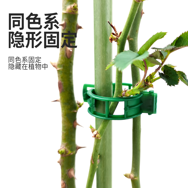 绿植果树植物固定夹卡扣藤蔓固定器秧苗爬藤支撑杆果蔬秧苗吊秧