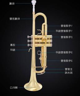 YWPL小号乐器 铜管西洋乐器铜管 降B调三音小号 初学演奏 。