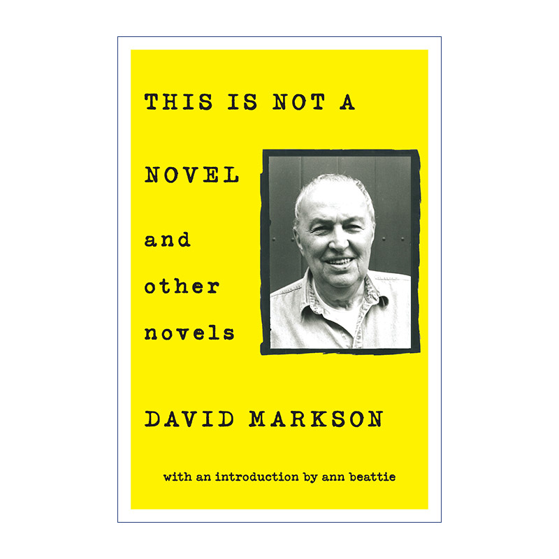 英文原版 This is Not a Novel and Other Novels 这不是一本小说与其他小说 消失点 David Markson 英文版 进口英语原版书籍