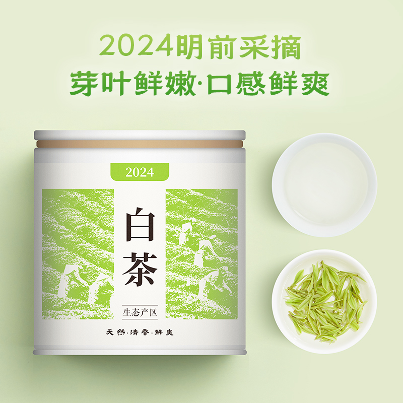 2024新茶宋品白茶明前特级绿茶春