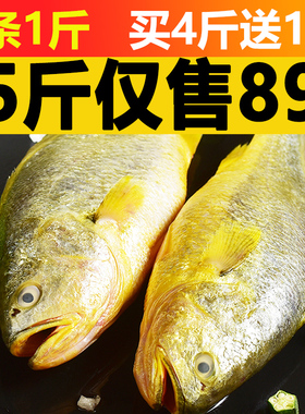 黄花鱼新鲜冷冻