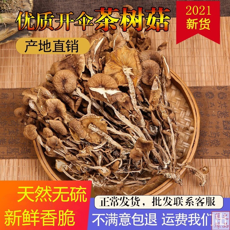 江西广昌特产农家自产特级开伞茶树菇500g干货非福建古田茶树菇