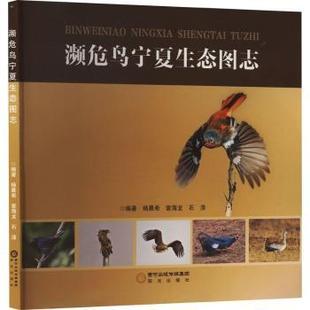 正版 濒危鸟宁夏生态图志  杨晨希，袁海龙，石淳编著 阳光出版社 9787552567663 可开票