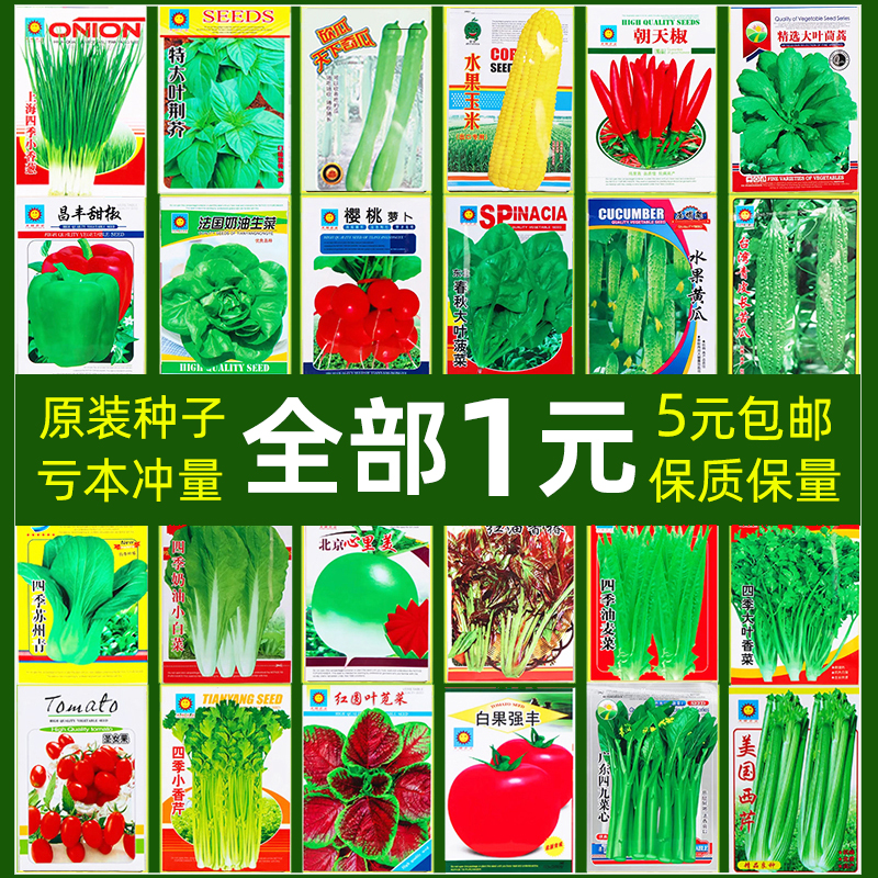 1元1包蔬菜种子四季播种阳台农家盆栽香菜菠菜生菜韭菜小葱孑大全