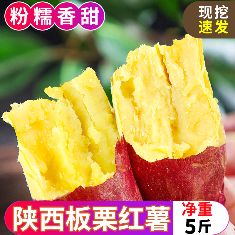板栗红薯新鲜地瓜番薯蜜薯黄心9斤农