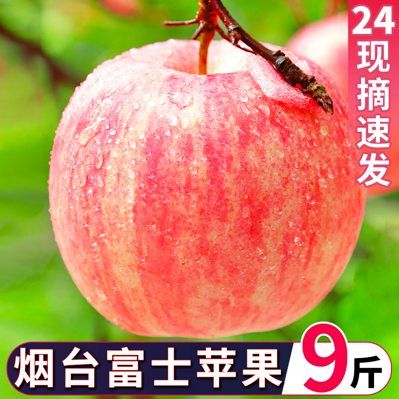 山东烟台红富士10斤苹果水果新鲜整