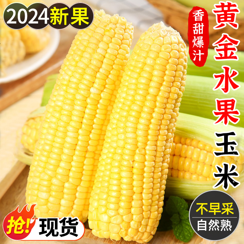 广西水果玉米新鲜9斤生吃爆浆甜玉米