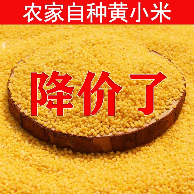 山西农家新250g养胃黄小米月子小米