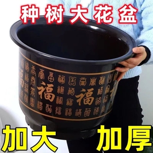 花盆仿陶瓷树脂塑料果树盆特大号盆栽绿植果树黄金葛月季牡丹花盆