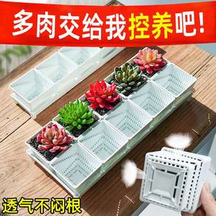 美莳控根多肉花盆长条形套装塑料透气白色专用2022新款小方盆托盘