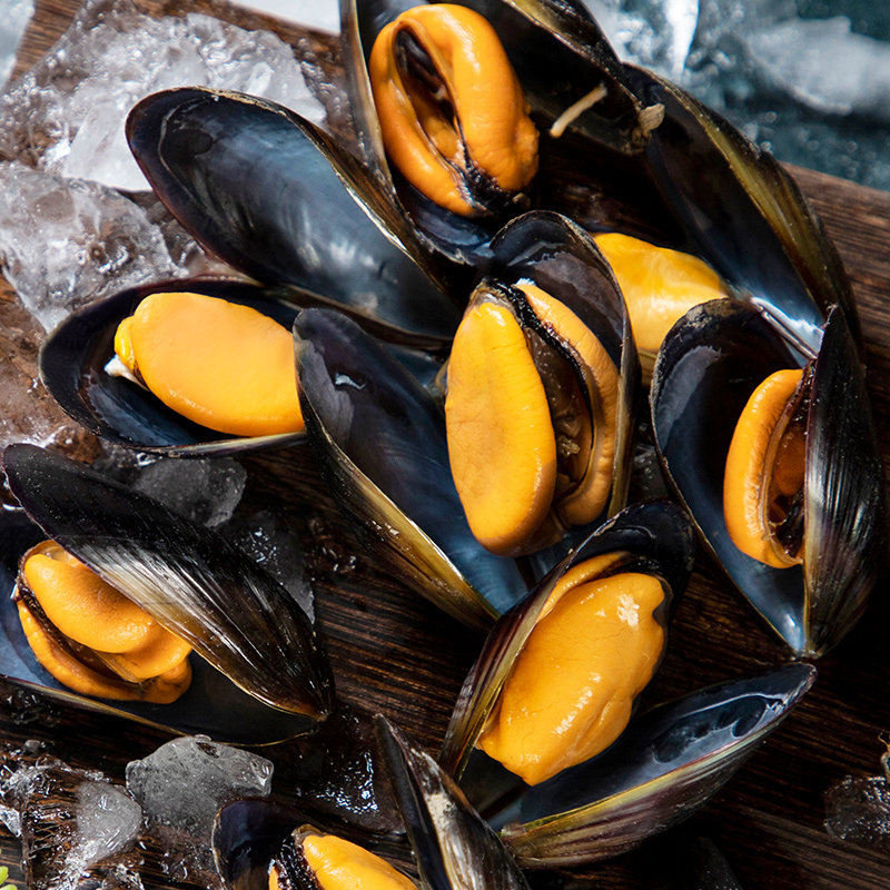 海虹鲜活青口贝特大新鲜海鲜冷冻干货淡菜贻贝水产山东野生贝类