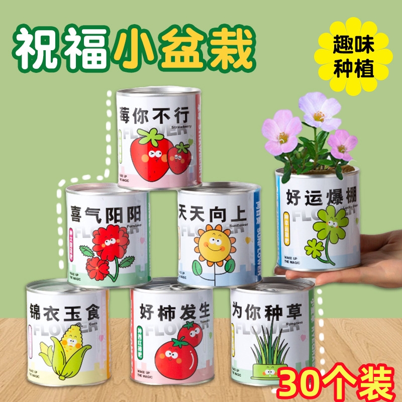 儿童节礼物幼儿园种植绿植分享奖品学生摆地摊地推奖品义卖小商品