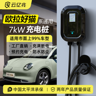 新能源欧拉黑猫白猫iQ/R1电动汽车充电桩7kw32A通用家用充电枪器