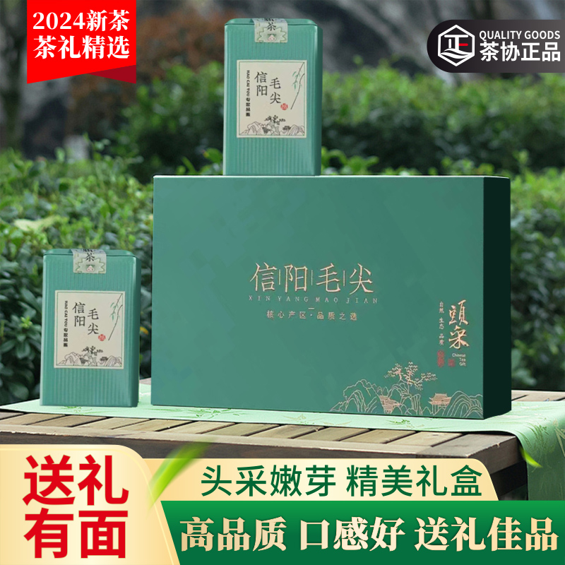 信阳毛尖礼盒装2024新茶特级明前嫩芽春茶头采河南绿茶送领导长辈