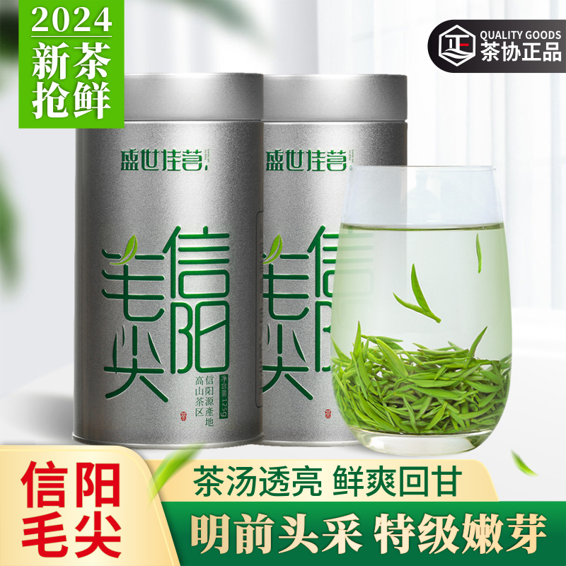 信阳毛尖2024新茶特级明前嫩芽春茶头采初芽手工绿茶茶叶散装250g