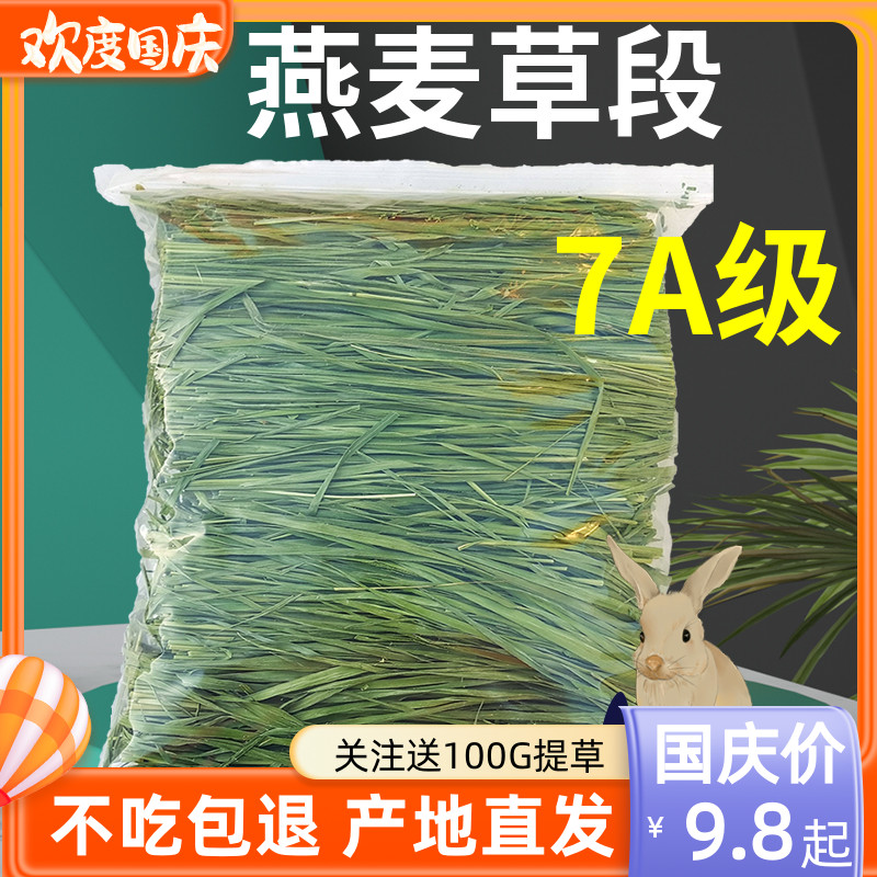 7A烘干黄金燕麦草草段兔子草龙猫荷