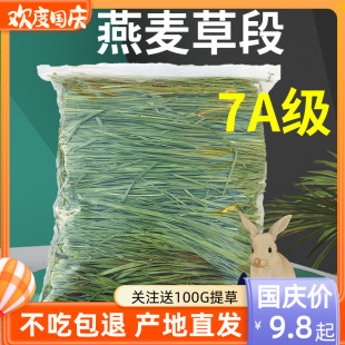 7A烘干黄金燕麦草草段兔子草龙猫荷兰猪粮食兔粮饲料干草磨牙岷县