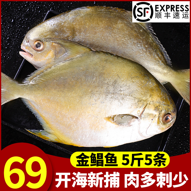 新鲜冷冻特大镜鱼海鱼平鱼金鲳鱼