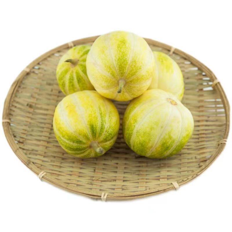 东北香瓜甜瓜新鲜小香瓜黑龙江特产白甜白糖罐5斤包邮10时令水果