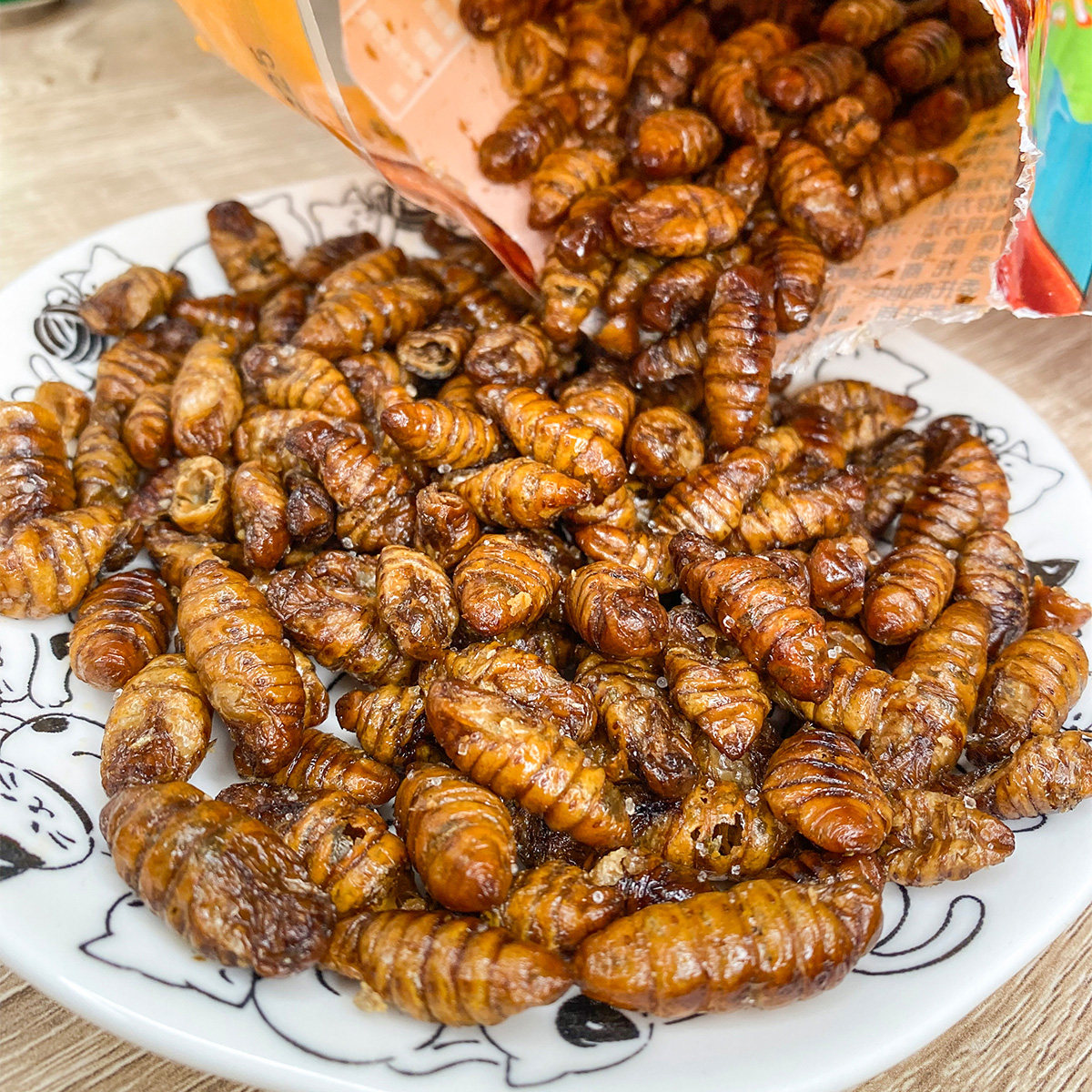 油炸香酥蚕蛹即食蝉蛹山东特产烧烤茧蛹子熟食零食五香麻辣蚂蚱