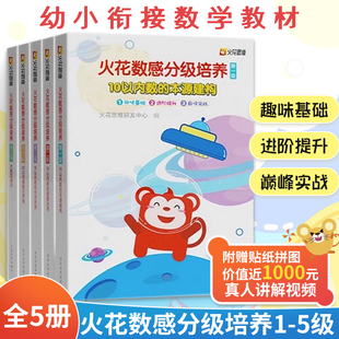 火花数感分级培养1-5级 全5册6-12岁儿童数学启蒙书籍 幼小衔接整合教材 一年级小学入学准备幼儿园数学加减法练习册 火花思维研发