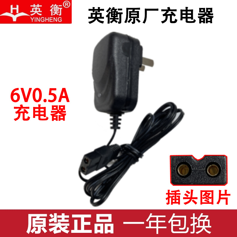 广东电子秤充电器充电器台秤计价秤充电器正品通用6v500a