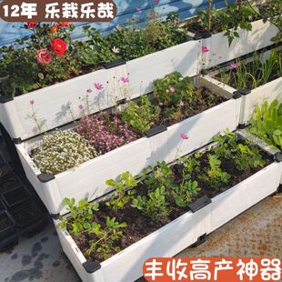 种菜专用架子室外种植箱神器居家室内多层家庭阳台架生菜种植盆