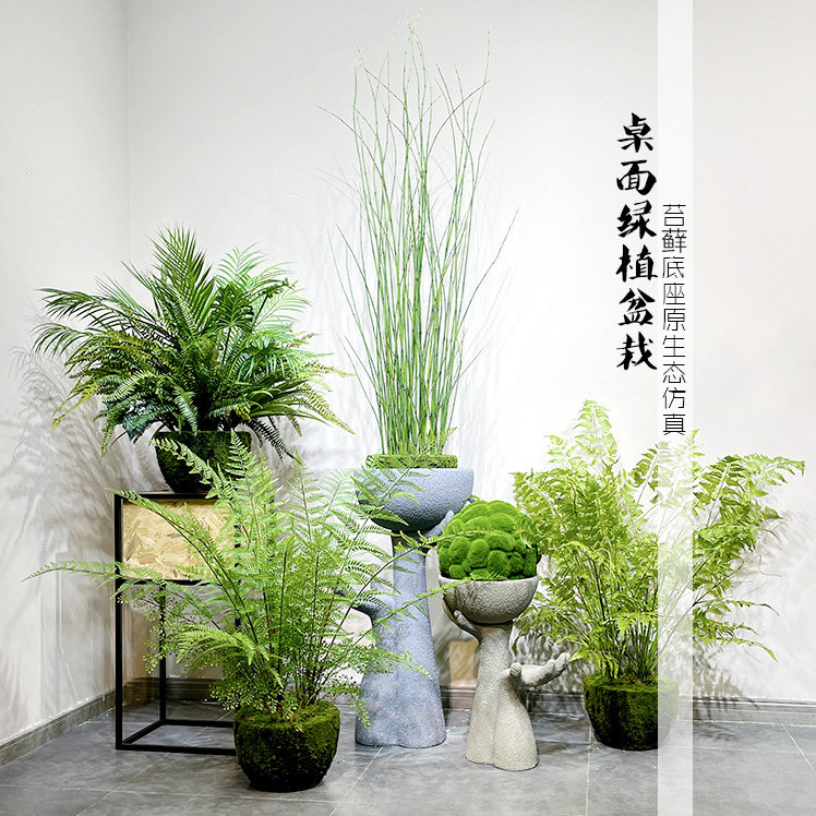 桌面仿真绿植盆栽景室内森林系苔藓底座蕨草叶嫩竹节生态装饰摆设