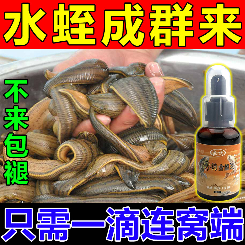 蚂蟥水蛭诱捕剂引诱剂水蛭捕捉工具药水蛭粉捕捉器野蚂蟥抓水蛭板