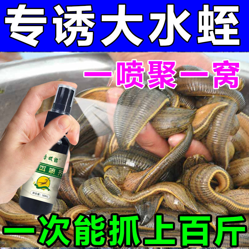 蚂蟥水蛭诱捕剂引诱剂水蛭捕捉工具药水蛭粉捕捉器野蚂蟥抓水蛭板