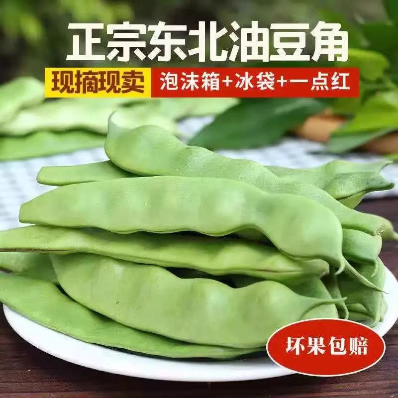 【现摘正宗】东北一点红油豆角九月青新鲜蔬菜现摘面豆角开锅就烂