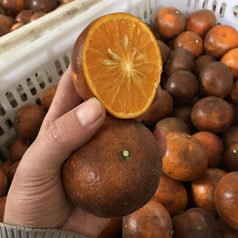 正宗广西乌柑黑皮超甜应季新鲜水果丑橘广西武鸣沃柑大果包邮