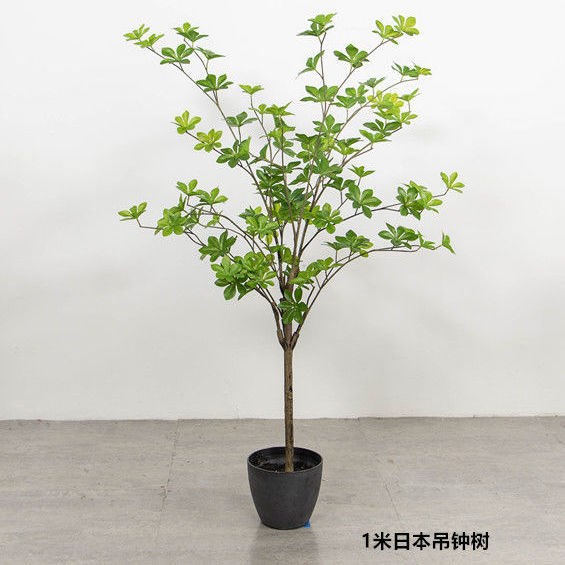 日本吊钟花植物 仿真马醉木 多瓣叶盆栽假花吊钟树枝客厅装饰绿植