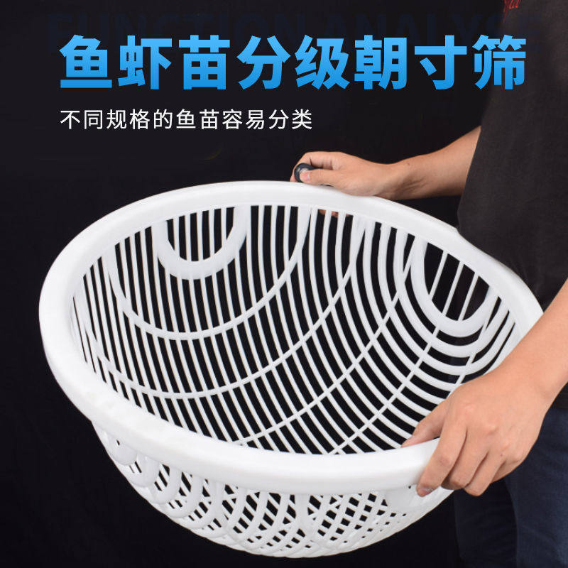 鑫超威牌塑料鱼筛龙虾筛子鱼苗筛子泥鳅筛子鱼虾分级筛虾苗筛虾网