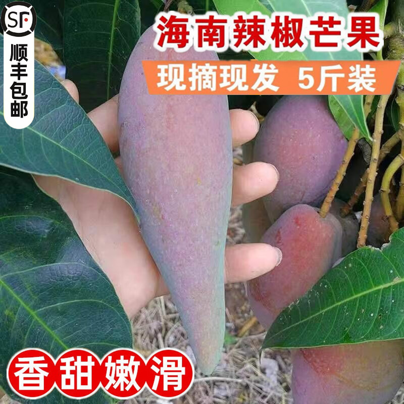 辣椒芒果 海南现摘新鲜辣椒芒5斤当